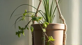 DIY Macrame Plant Hanger: Bring Bohemian Vibes to Your Home